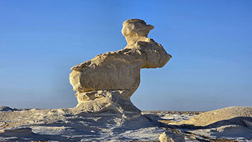 Formazione calcarea a forma di coniglio nel 'deserto bianco' al mattino